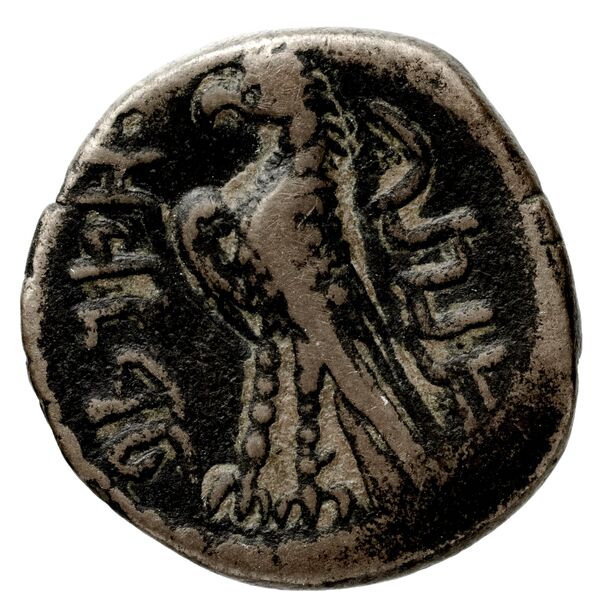 Aretas IV of Nabataea Petra Barkay 2019 133,137, реверс, bnf-iris