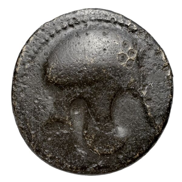 Cassander Macedon AMNG III.2 10, аверс, bnf-iris