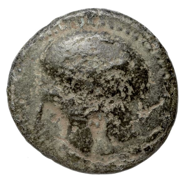 Cassander Macedon AMNG III.2 10, аверс, bnf-iris