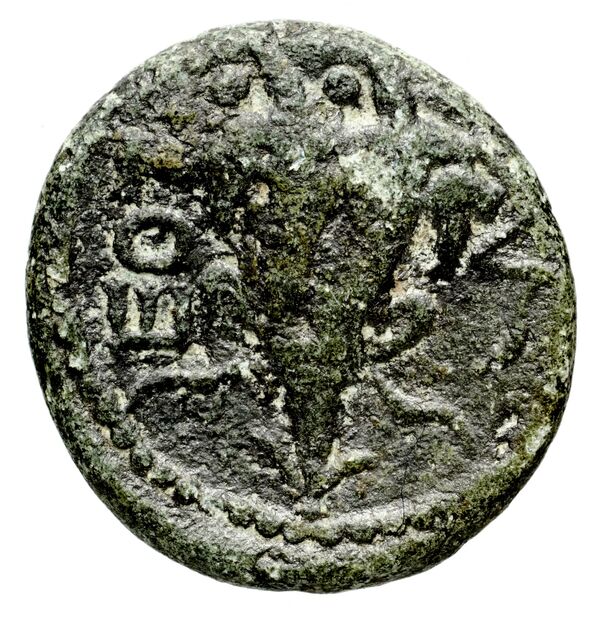 Marathus Duyrat 2002 series 13, реверс, bnf-iris