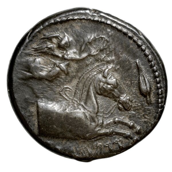 Carthaginian Empire Carthage Jenkins 1974 Carthage series 1, 1-37, аверс, bnf-iris