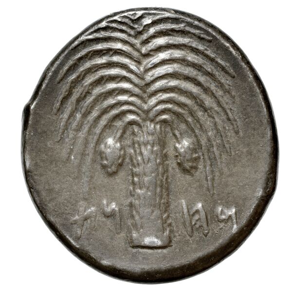 Carthaginian Empire Carthage Jenkins 1974 Carthage series 1, 1-37, реверс, bnf-iris