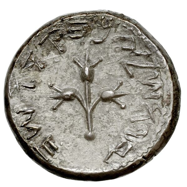 Simon Maccabaeus Judaea Hendin 2010 1358-9, реверс, bnf-iris