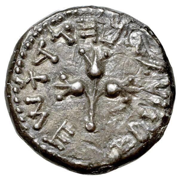 Simon Maccabaeus Judaea Hendin 2010 1358-9, реверс, bnf-iris