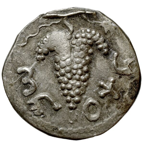 Simon bar Kokhba Judaea Hendin 2010 1435, аверс, bnf-iris