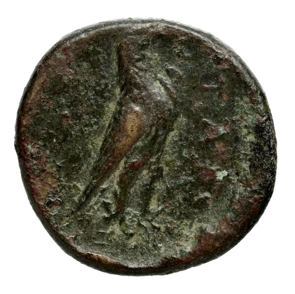Aphytis SNG ANS Macedonia 213, реверс, bnf-iris