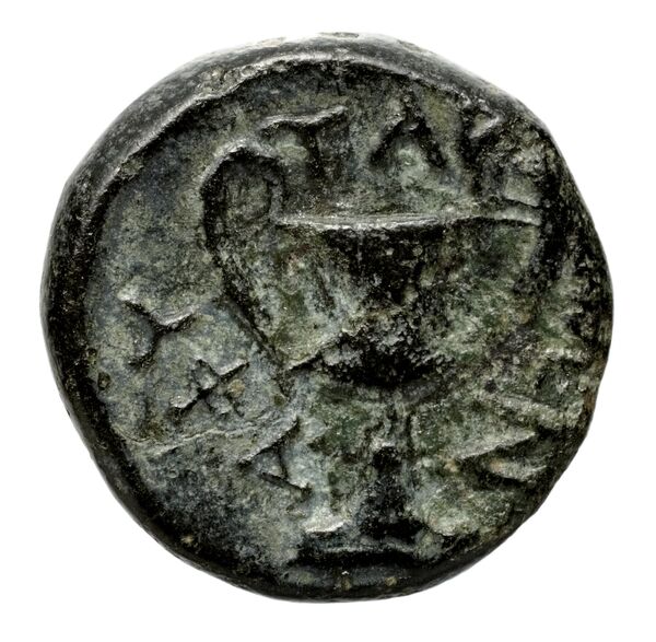 Aphytis AMNG III.2 5-6, реверс, bnf-iris