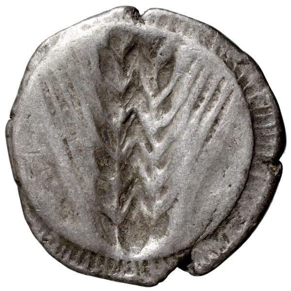 Metapontum Historia Numorum Italy 1482-3, реверс, bnf-iris