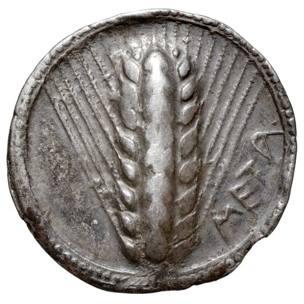 Metapontum Historia Numorum Italy 1459, аверс, bnf-iris