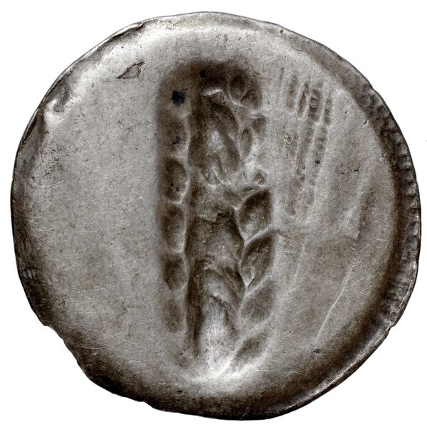 Metapontum Historia Numorum Italy 1459, реверс, bnf-iris