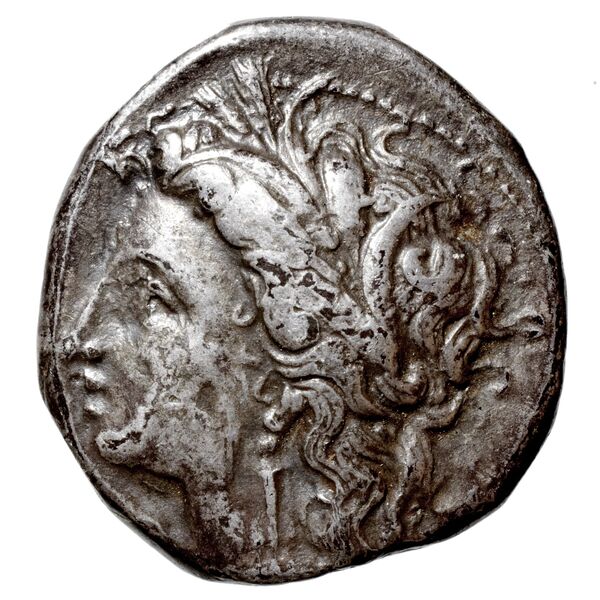 Metapontum Historia Numorum Italy 1580-3, аверс, bnf-iris