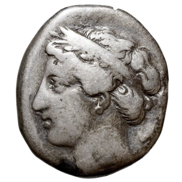 obverse Metapontum Historia Numorum Italy 1524