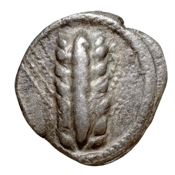 Metapontum Historia Numorum Italy 1487, аверс, bnf-iris