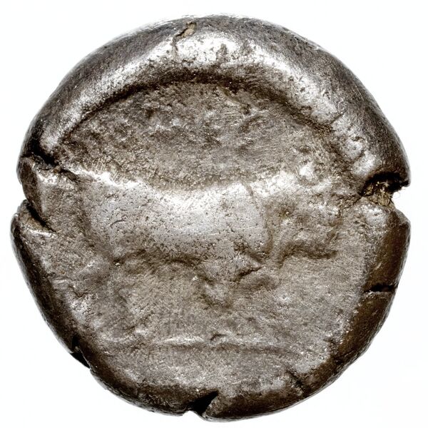 Poseidonia Historia Numorum Italy 1114, реверс, bnf-iris