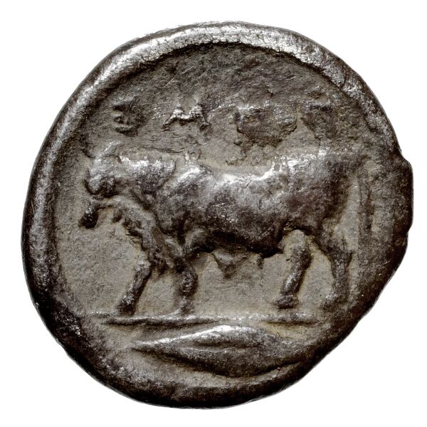 Poseidonia Historia Numorum Italy 1119, реверс, bnf-iris