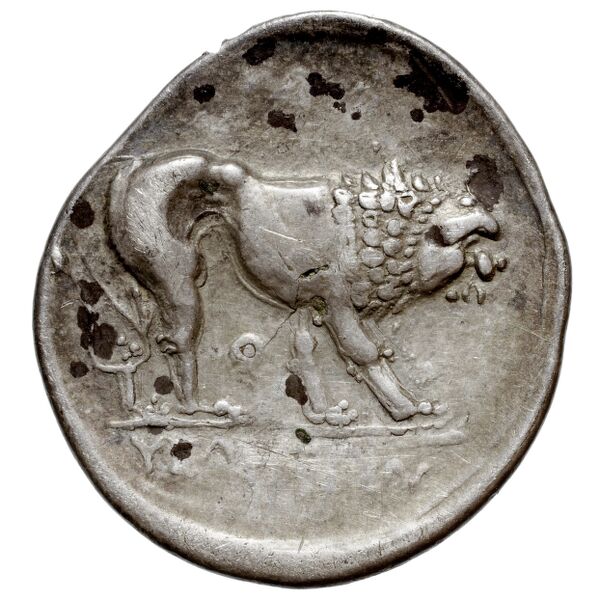 Velia Historia Numorum Italy 1283-7, реверс, bnf-iris