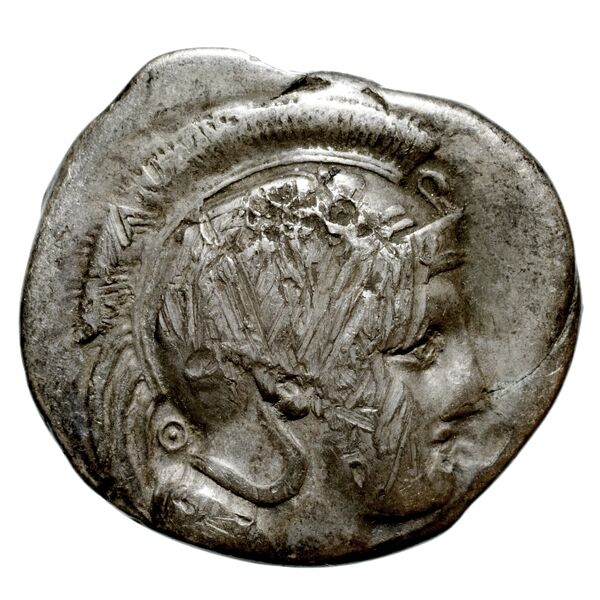 Velia Historia Numorum Italy 1283-7, аверс, bnf-iris