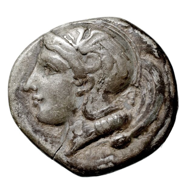 Velia Historia Numorum Italy 1283-7, аверс, bnf-iris