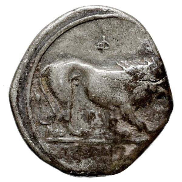 Velia Historia Numorum Italy 1283-7, реверс, bnf-iris