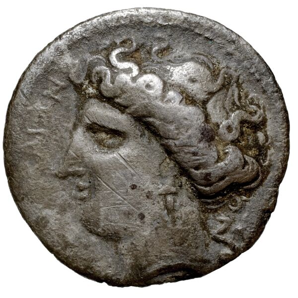 Terina Historia Numorum Italy 2641-2642, аверс, bnf-iris