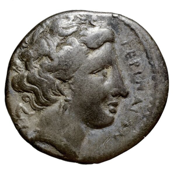 Terina Historia Numorum Italy 2641-2642, аверс, bnf-iris