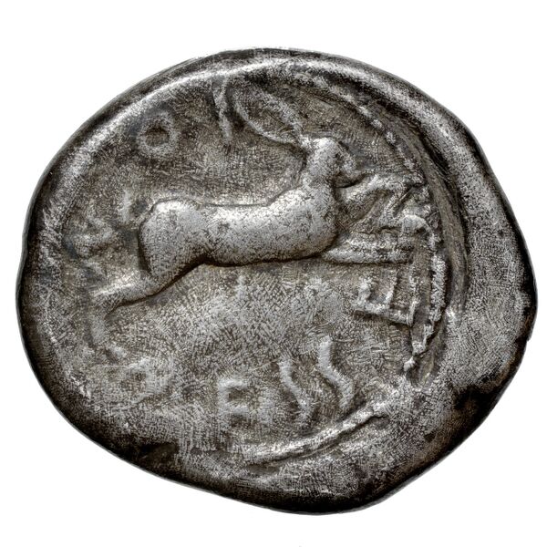 Messana Caltabiano 1993 27-226, реверс, bnf-iris
