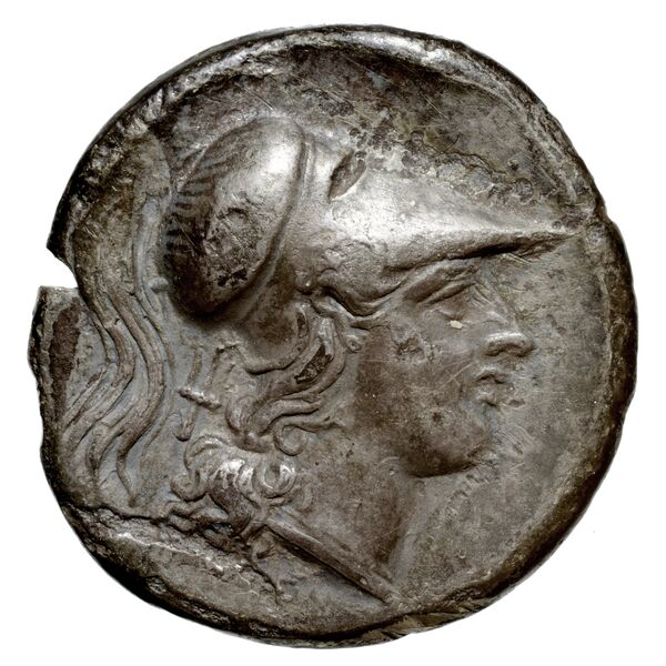 Cales Historia Numorum Italy 434, аверс, bnf-iris
