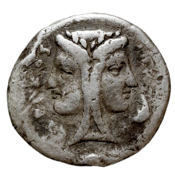 Timoleon Syracuse SNG ANS 516-518, аверс, bnf-iris