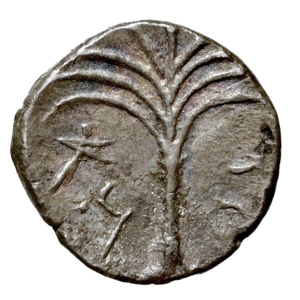 Motya Campana 1999 group VI serie I 15, реверс, bnf-iris