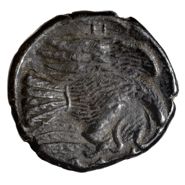 Chalcis Picard 1979 Series I group IV issue 51-54 bronze, реверс, bnf-iris