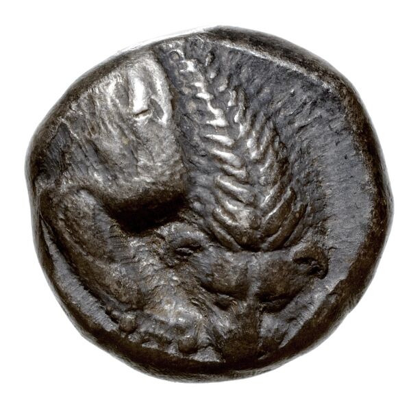 Velia Historia Numorum Italy 1259, аверс, bnf-iris