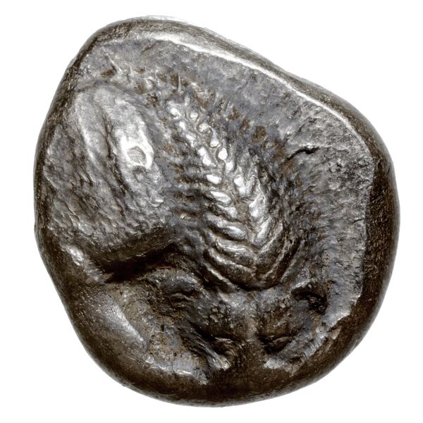 Velia Historia Numorum Italy 1259, аверс, bnf-iris