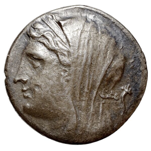 Hieron II Syracuse Caltabiano 1997 91-219, аверс, bnf-iris