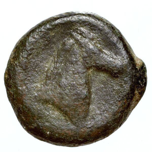 Carthaginian Empire Carthage Alexandropoulos 2007 20, реверс, bnf-iris