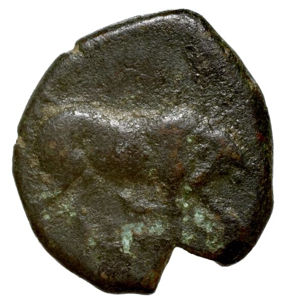 Arpi Historia Numorum Italy 645, аверс, bnf-iris