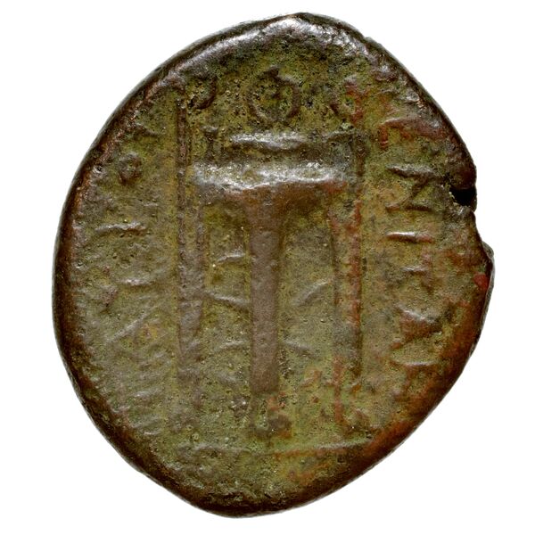 Tauromenium Puglisi 2009 371, реверс, bnf-iris