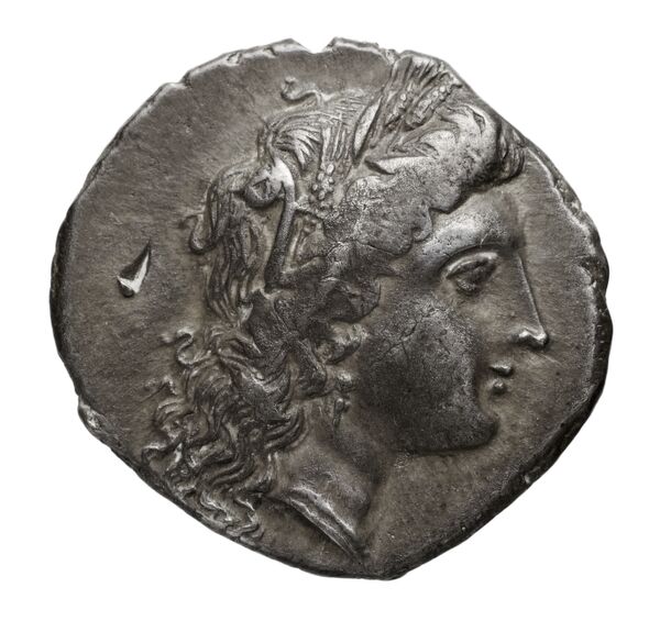 Metapontum Historia Numorum Italy 1612-20, аверс, bnf-iris