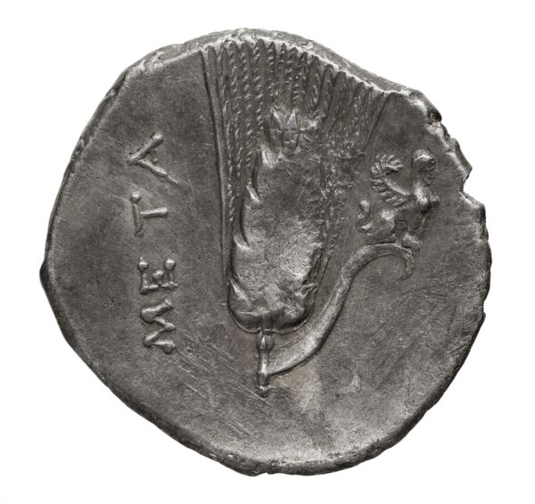 Metapontum Historia Numorum Italy 1612-20, реверс, bnf-iris
