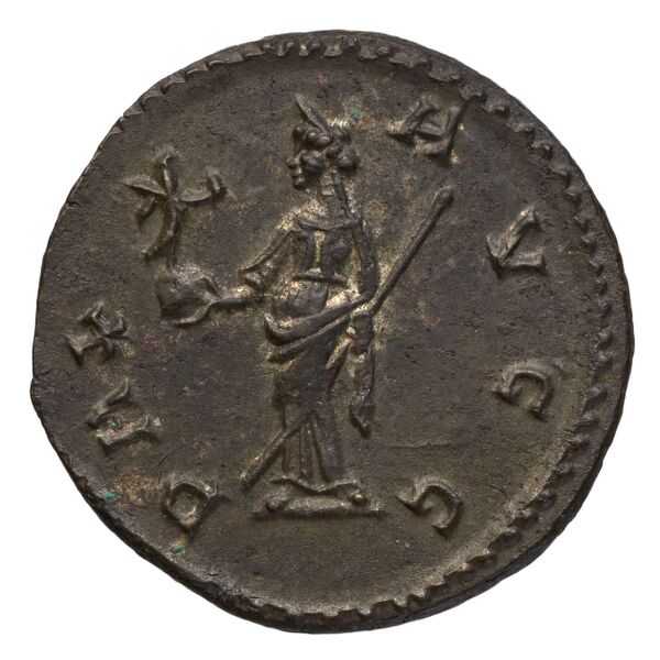 RIC V Diocletian 67, реверс, bnf_ocre