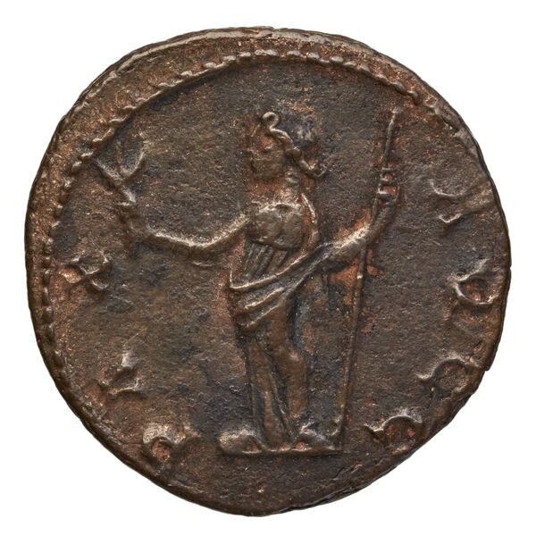 RIC V Diocletian 70, реверс, bnf_ocre