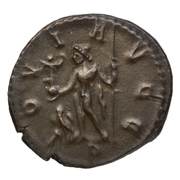 RIC V Diocletian 28, реверс, bnf_ocre