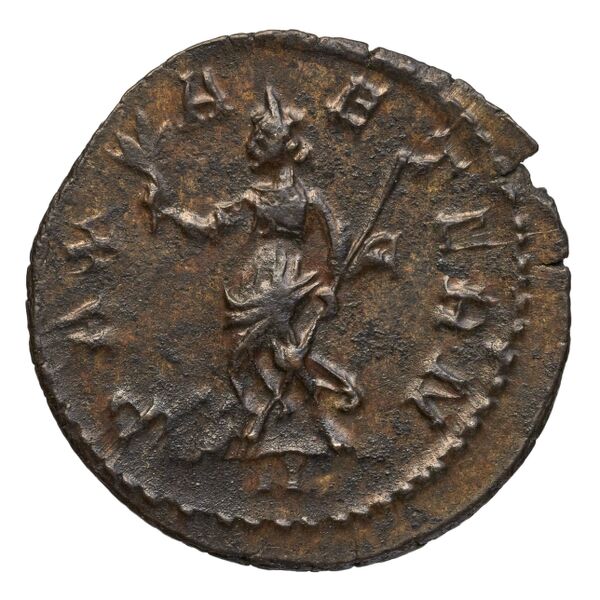 RIC V Diocletian 61, реверс, bnf_ocre