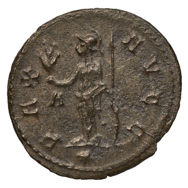 реверс RIC V Diocletian 407