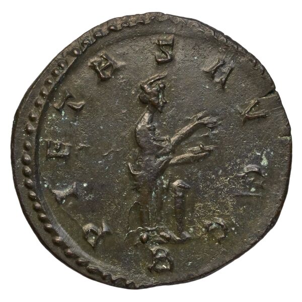 реверс RIC V Diocletian 411