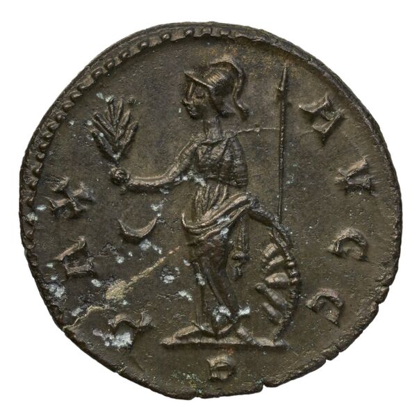 реверс RIC V Diocletian 404