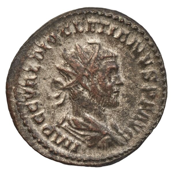 RIC V Diocletian 86, аверс, bnf_ocre