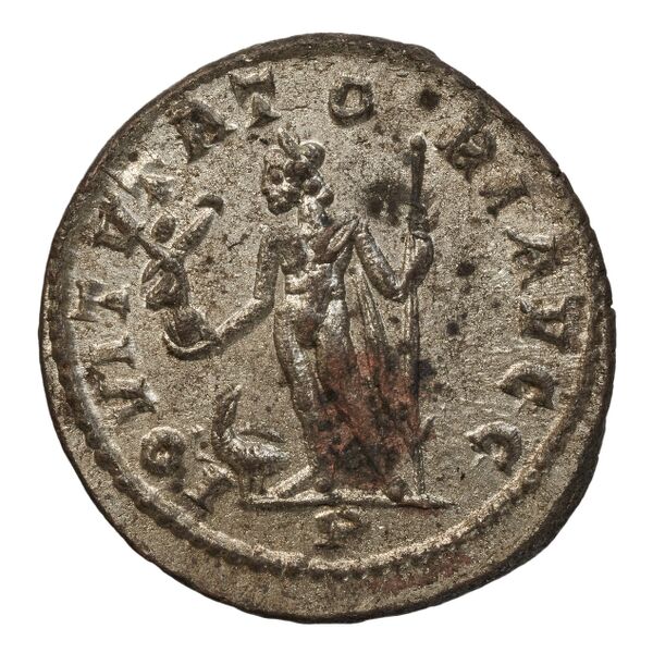 реверс RIC V Diocletian 393