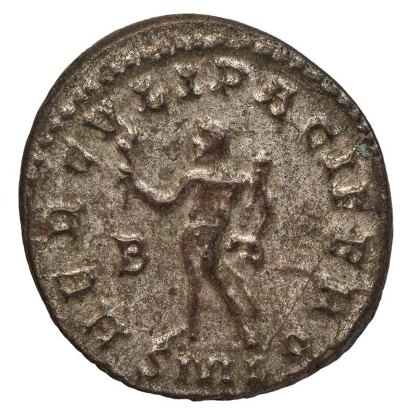 реверс RIC V Diocletian 380