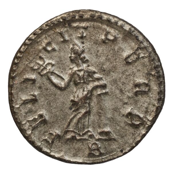 реверс RIC V Diocletian 357