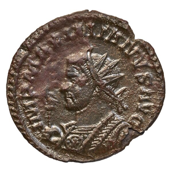 RIC V Diocletian 399, аверс, bnf_ocre